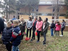 IMG_20190319_101827.jpg